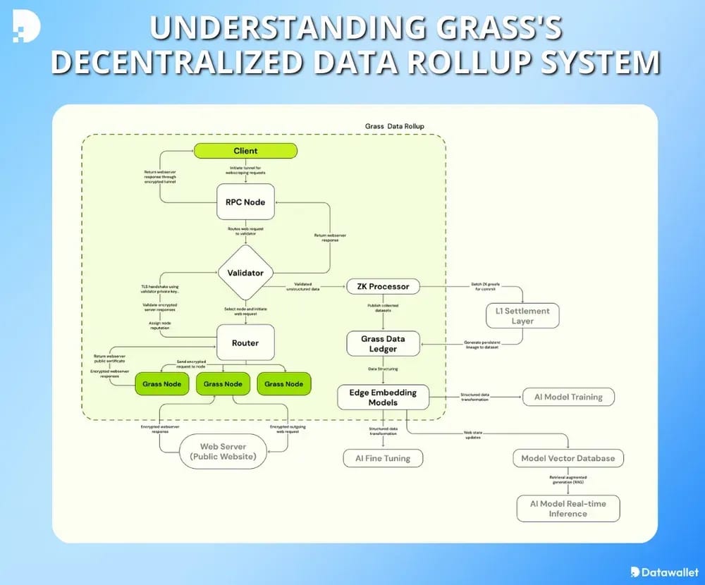 Grass Technology