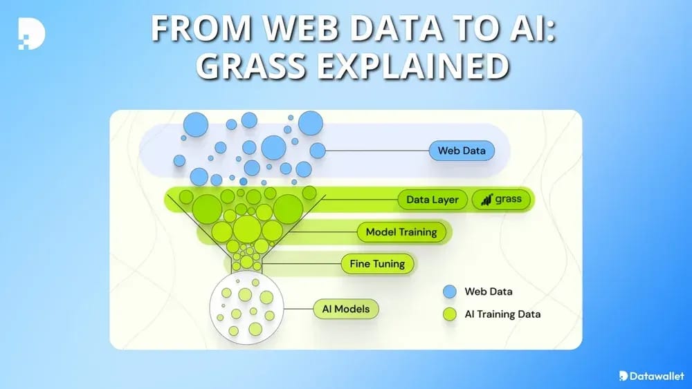 How Does Grass Work
