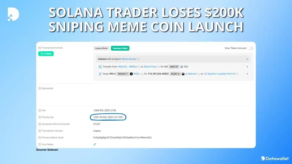 solana trader loses 200,000 usd on fees