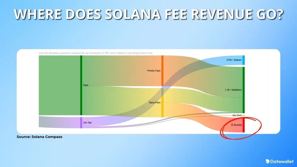 Où vont les recettes générées par Solana ?