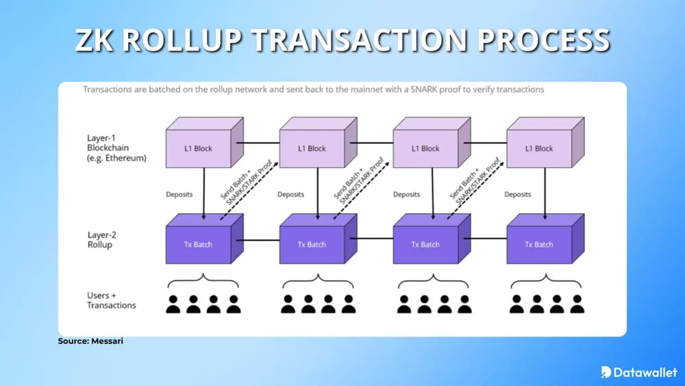 Processorollup zk rollup