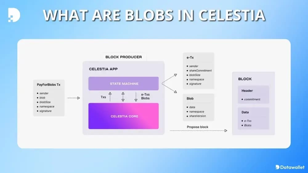¿Qué son Blobs Celestia?