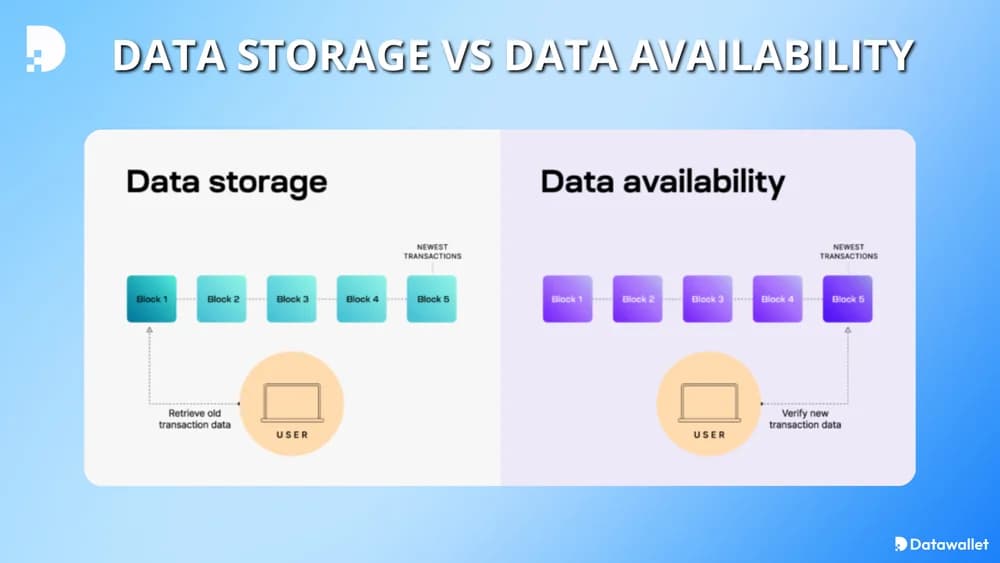 data storage vs data availability