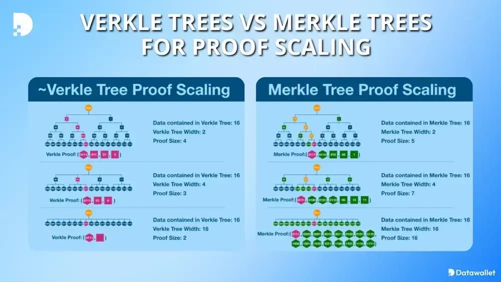 证明缩放的verkle树与merkle树对比
