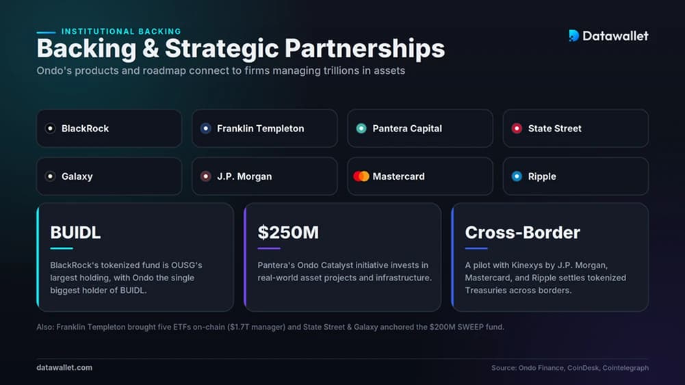 Institutional Backing and Partnerships