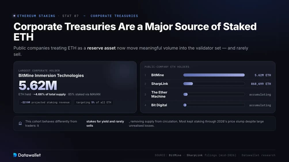 Unternehmens-Treasuries sind zu einer wichtigen Quelle für gestaked ETH geworden