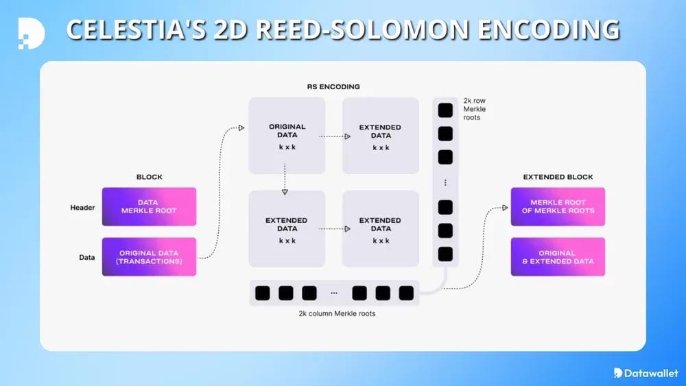 Codage Reed-Solomon 2D Celestia