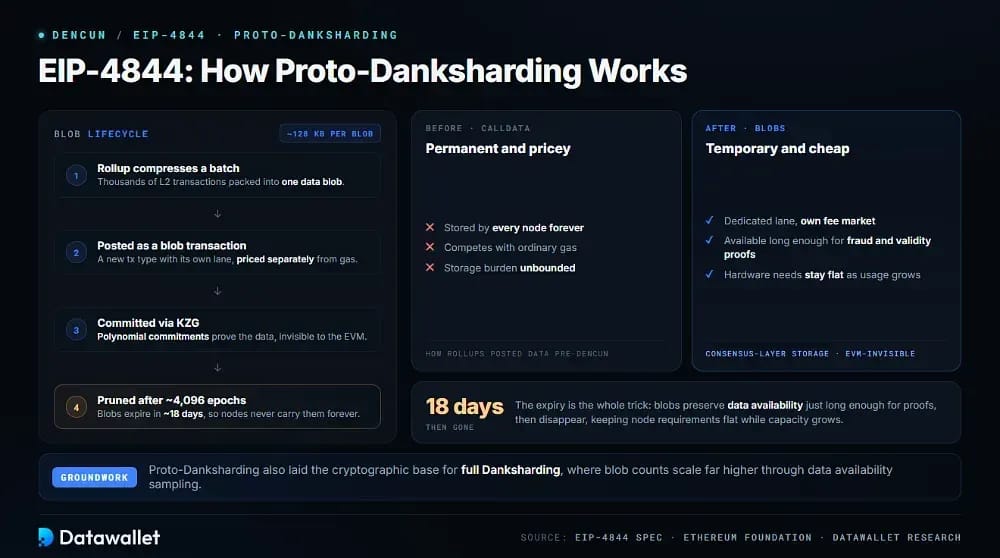 What is EIP-4844 and Proto-Danksharding