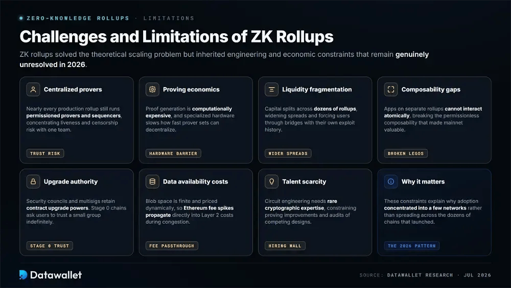 Sfide e Limitazioni dei Zero-Knowledge Rollups