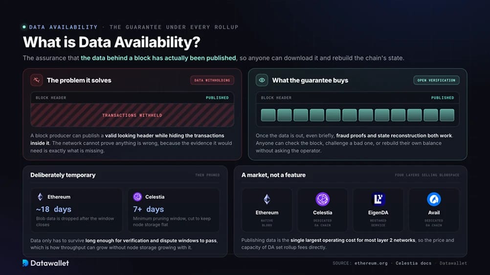 ما هي data availability؟