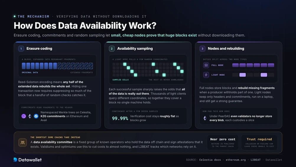 كيف تعمل Data Availability؟