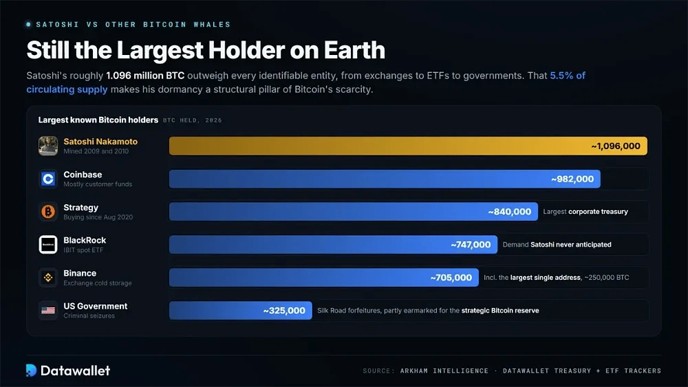 How Satoshi Compares to Other Bitcoin Whales